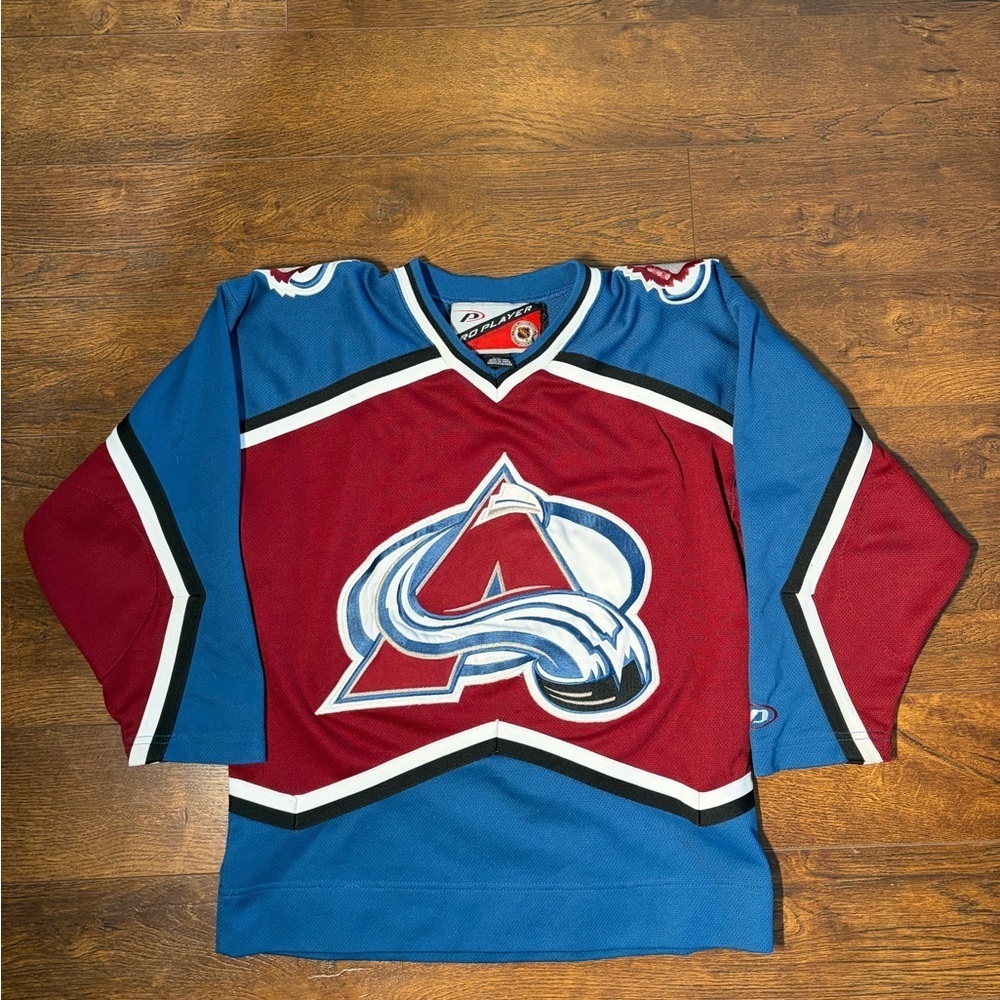 NHL Pro Player Jersey in Burgundy and Blue